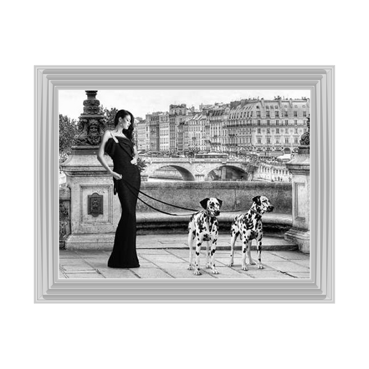 FG016 Dalmatians