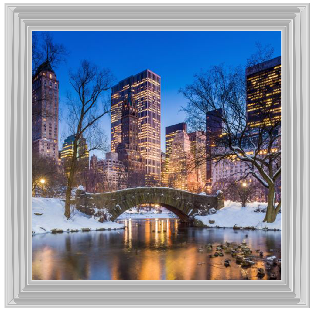 C568 Winter City