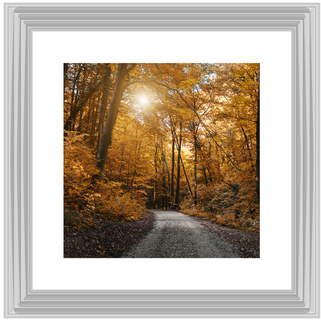 Walkway through yellow leafs