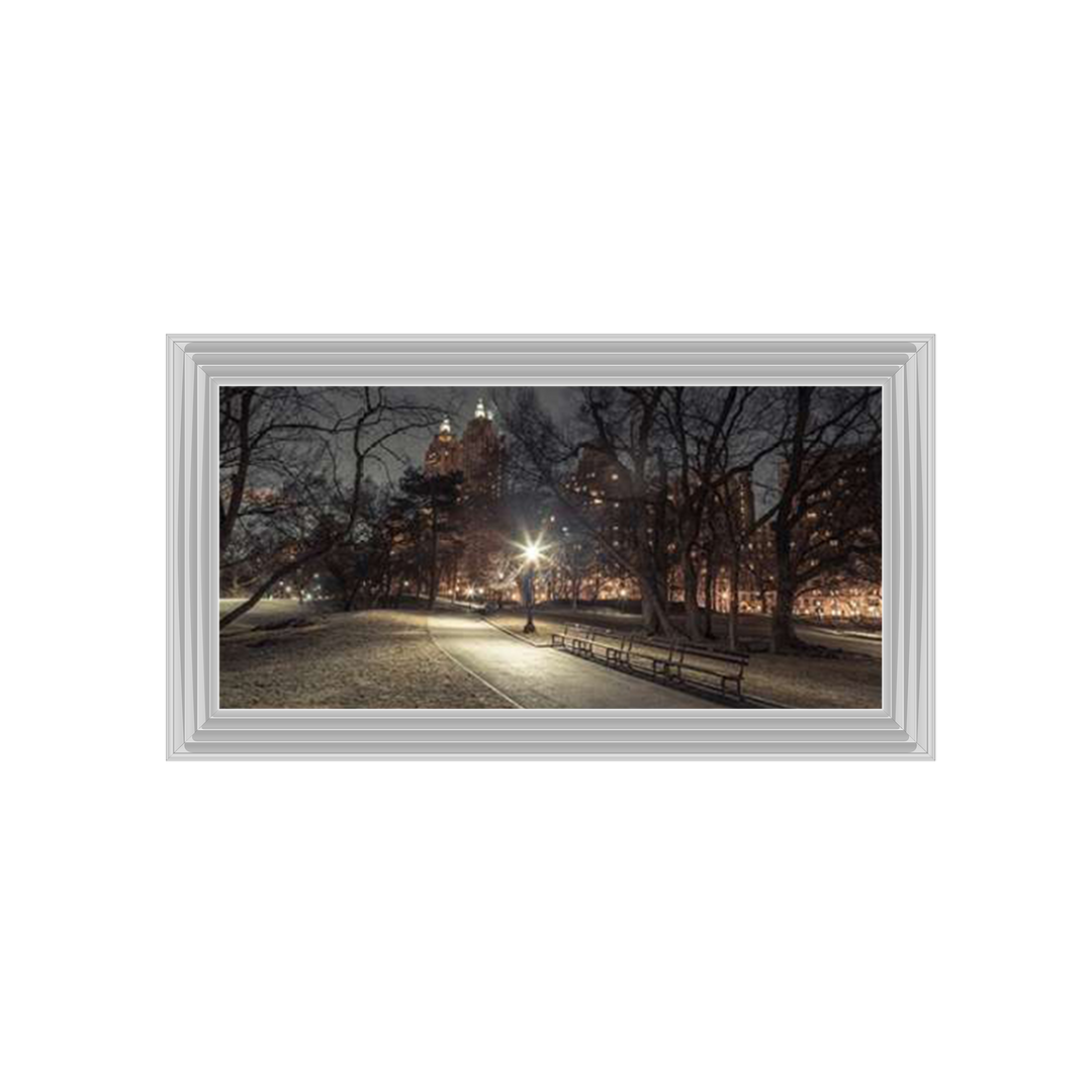 Path in cental park at night, winter, snow, New York. Assaf Frank