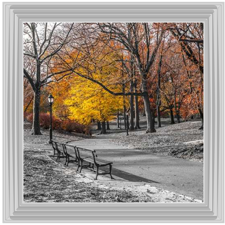 FTBR-1631 New York Yellow Trees in Central Park Assaf Frank