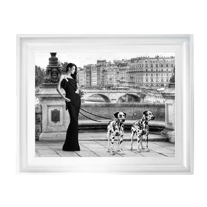 FG016 Dalmatians