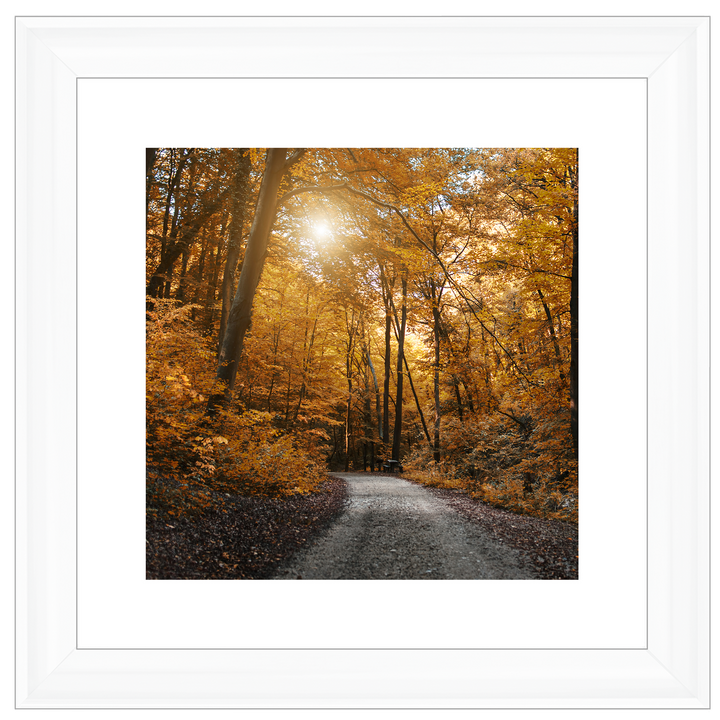 Walkway through yellow leafs