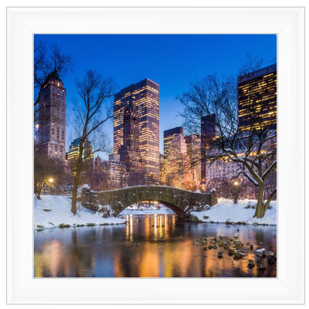 C568 Winter City