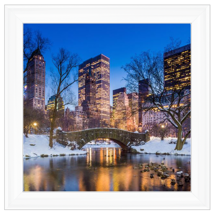 C568 Winter City