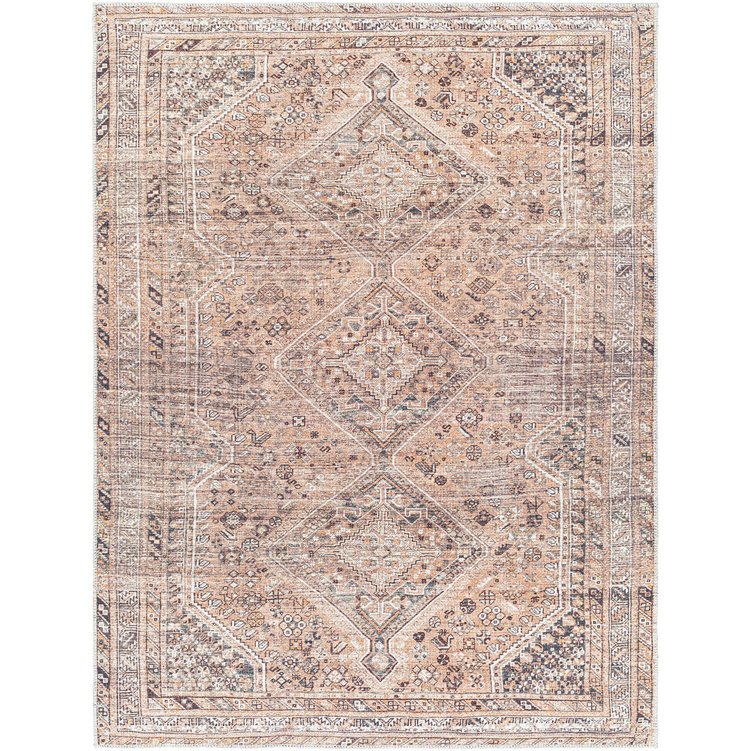 Amelie Rug Traditional Washable