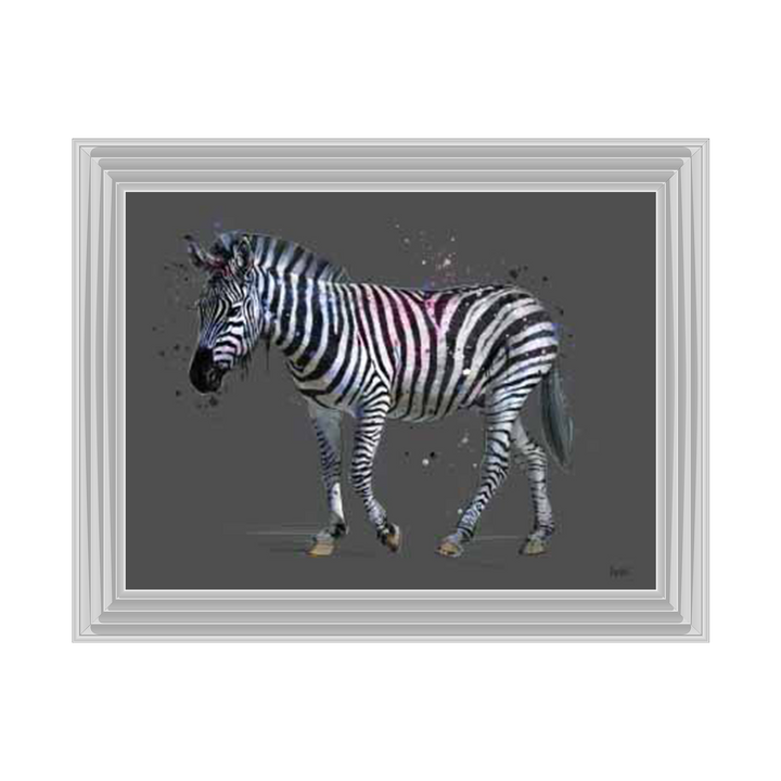 Rainbow zebra