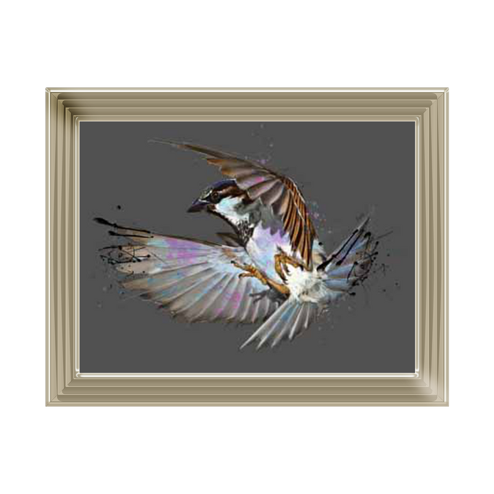 Sparrow in flight
