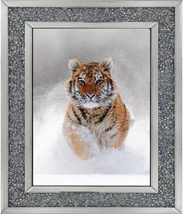 AN757 Tiger on Winter Snow