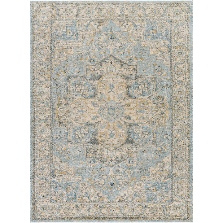 Elegant Avellino Vintage Traditional Boho High Pile Rug