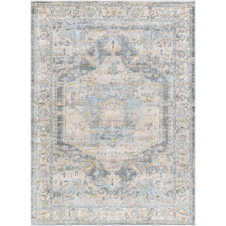 Luxury Avellino Vintage Traditional Boho High Pile Rug