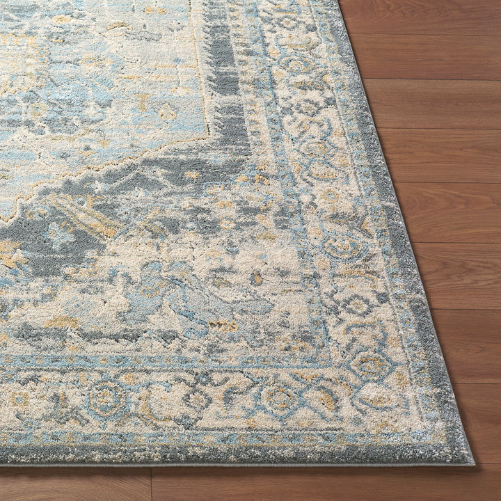 Luxury Avellino Vintage Traditional Boho High Pile Rug