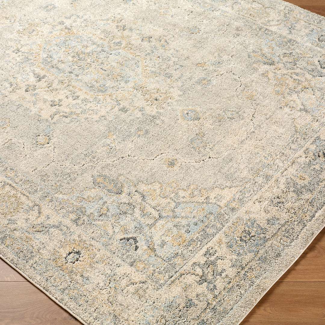 Contemporary Avellino Vintage Traditional Boho High Pile Rug