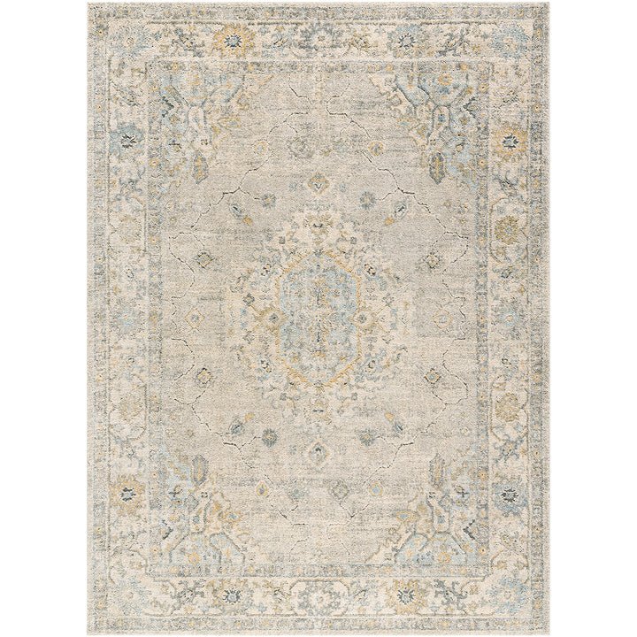 Classic Avellino Vintage Traditional Boho High Pile Rug