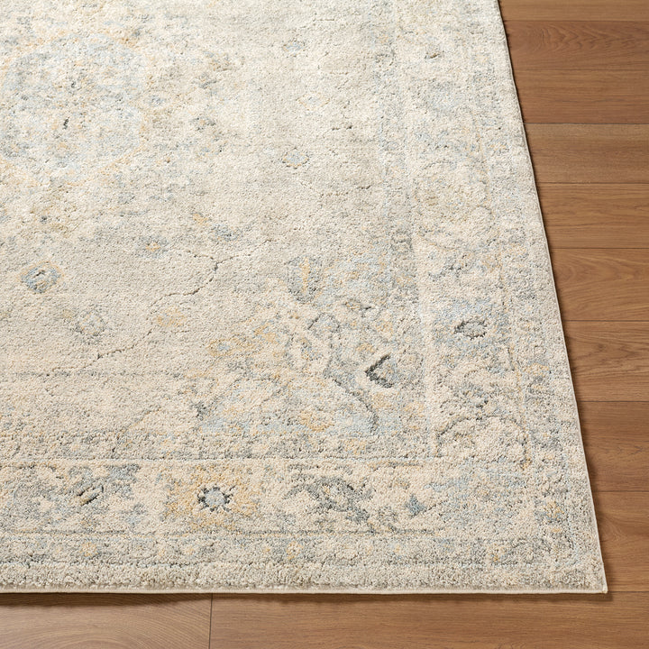 Contemporary Avellino Vintage Traditional Boho High Pile Rug