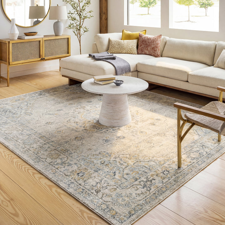 Contemporary Avellino Vintage Traditional Boho High Pile Rug