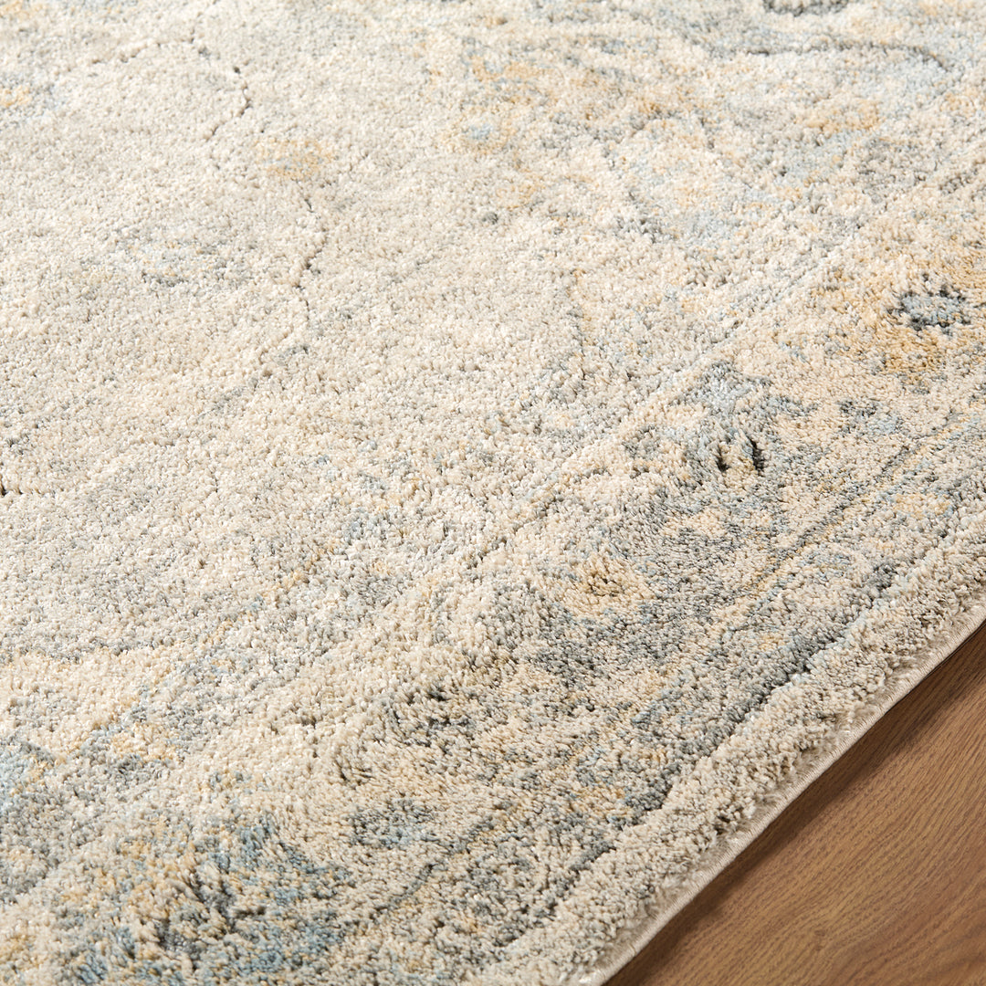 Classic Avellino Vintage Traditional Boho High Pile Rug