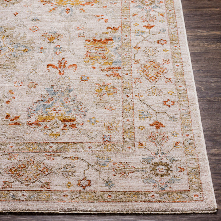 Avant Garde Vintage Traditional Rug