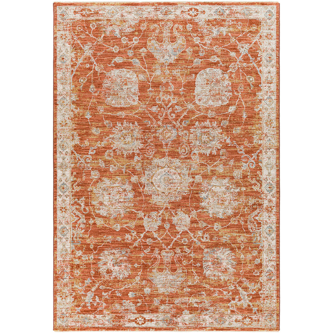Avant Garde Vintage Traditional Rug