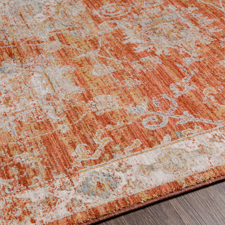 Classic Avant Garde Vintage Traditional Rug