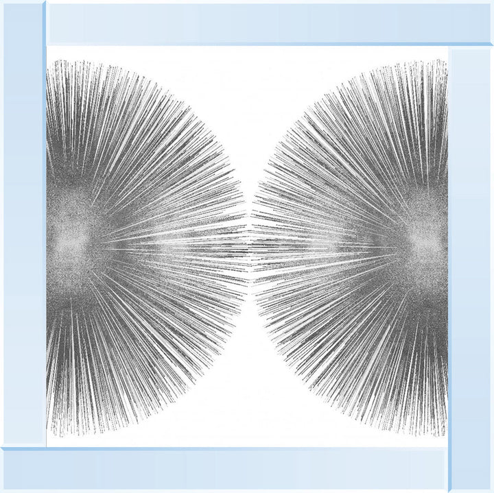 MD003 Grey Dandelion Duo