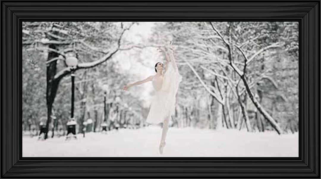 FG739 Ballerina on snow
