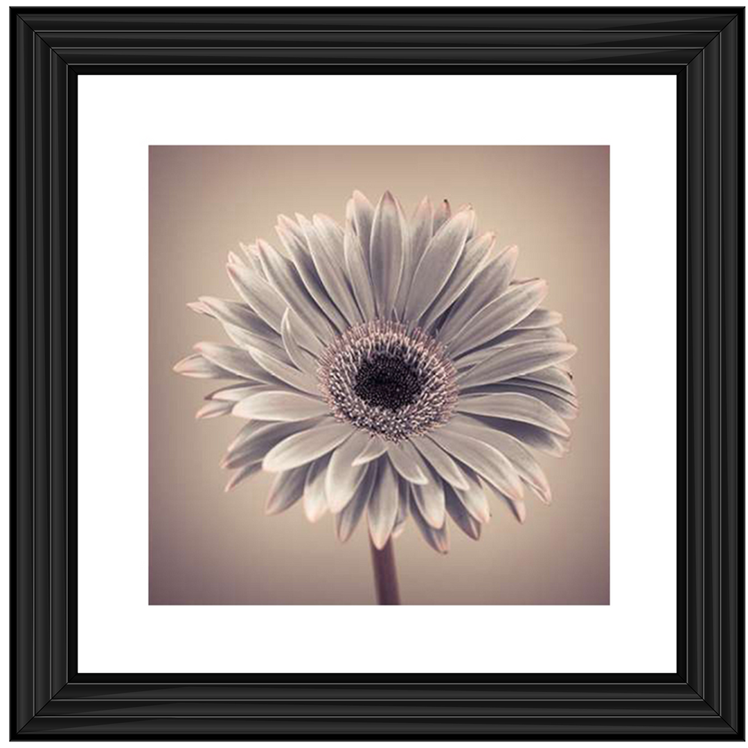 FL013 Pink Gerbera 1