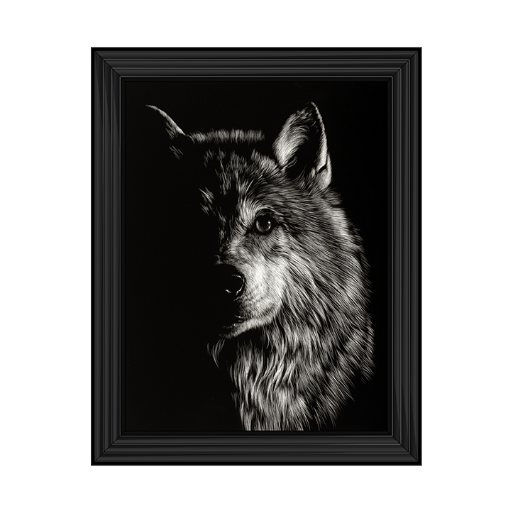 Scratchboard Wolf III