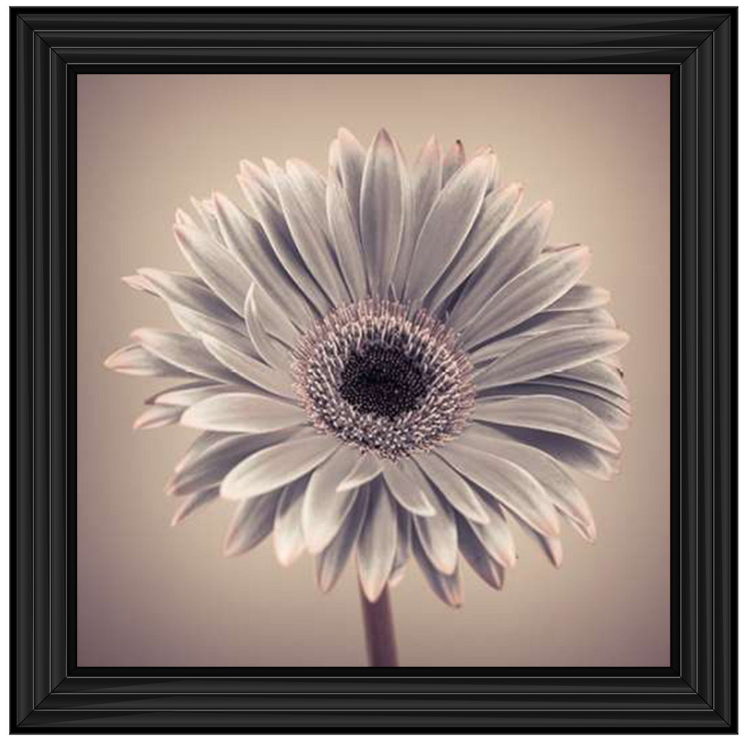 FL013 Pink Gerbera 1