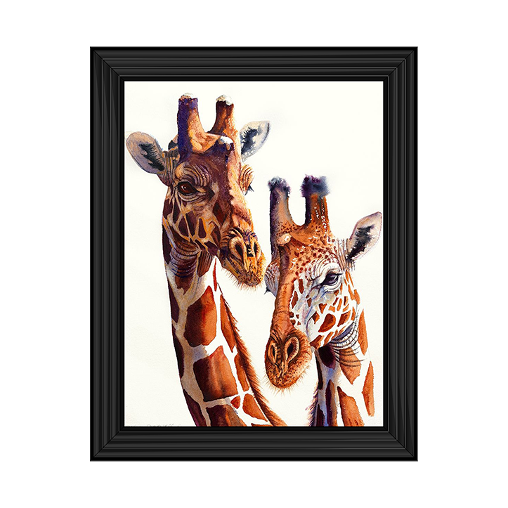 Safari Giraffes