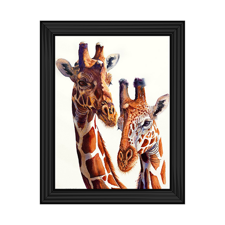 Safari Giraffes