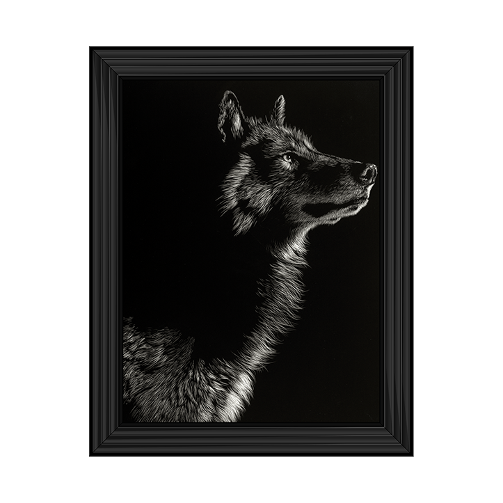 Scratchboard Wolf II
