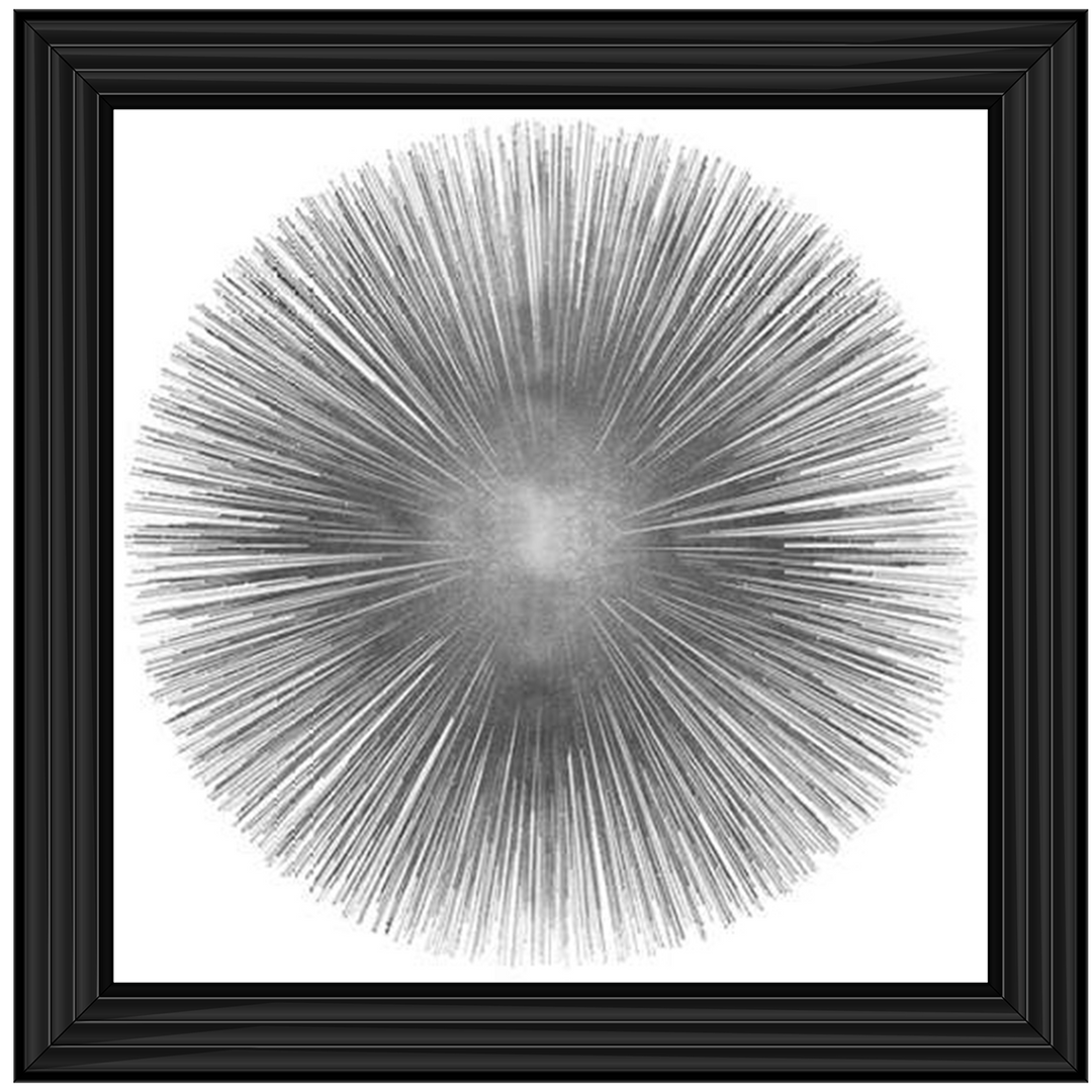 MD002 (AY112556) Silver Sunburst 1