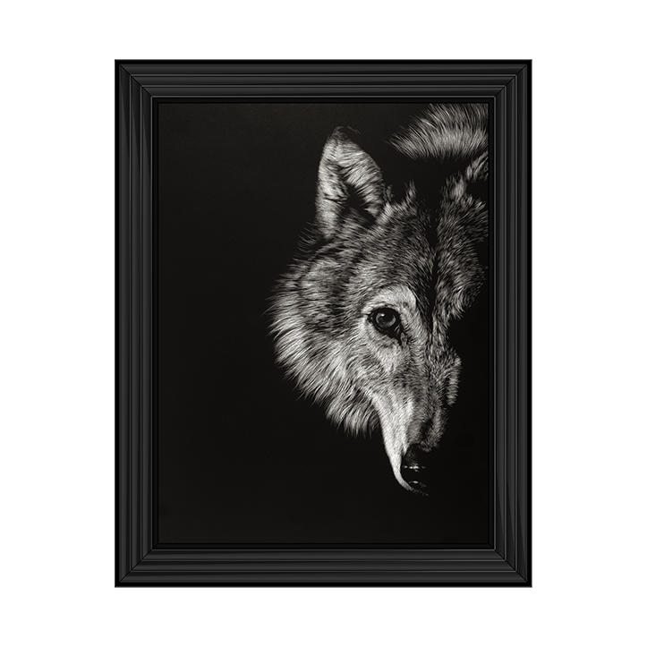 AN022 Black Glimpse III