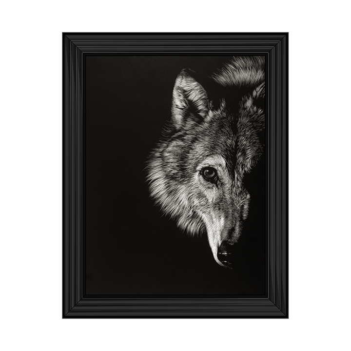 AN022 Black Glimpse III