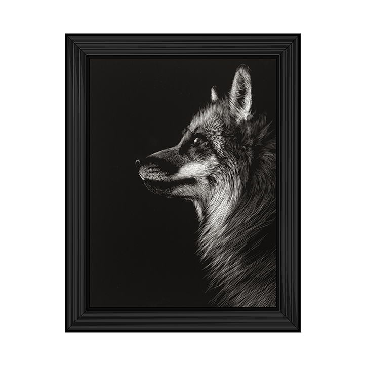 AN023 Black Glimpse V