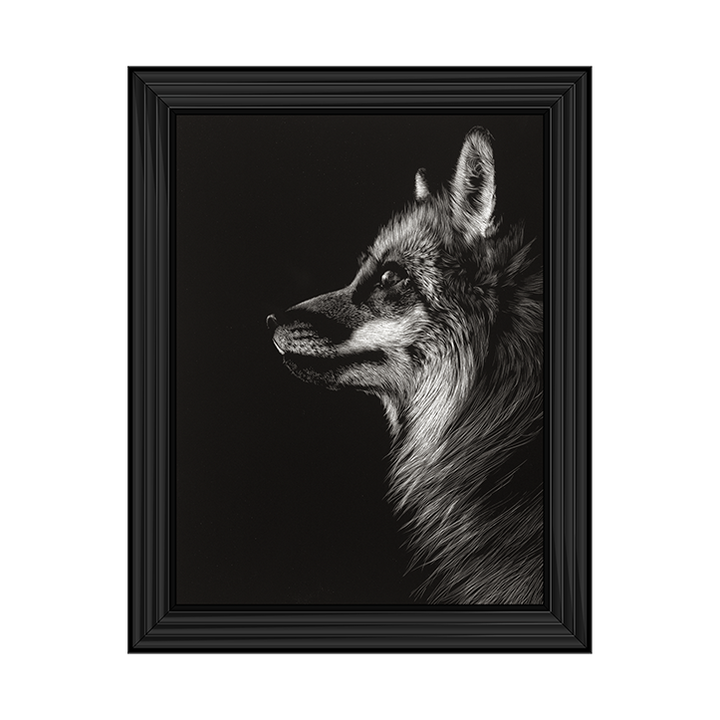 AN023 Black Glimpse V
