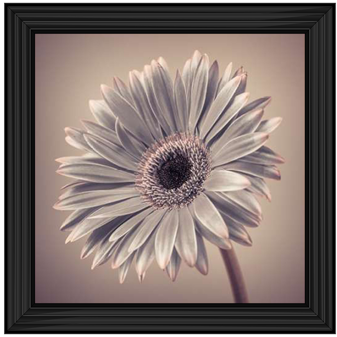 FL014 Pink Gerbera 2