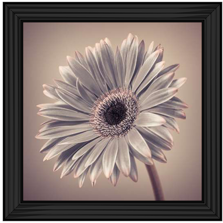 FL014 Pink Gerbera 2