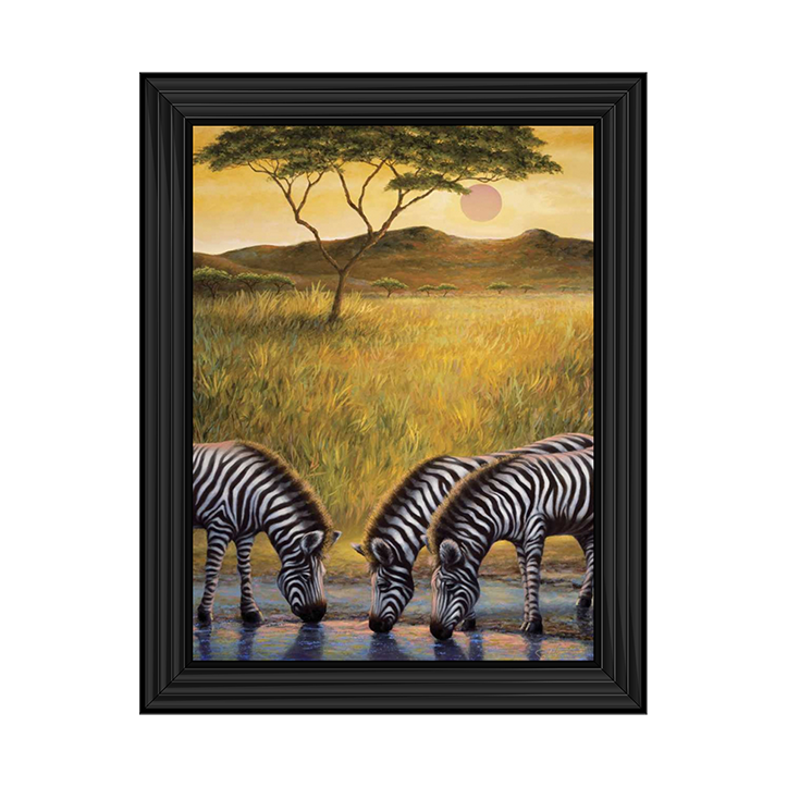 AN039 Zebra Respite