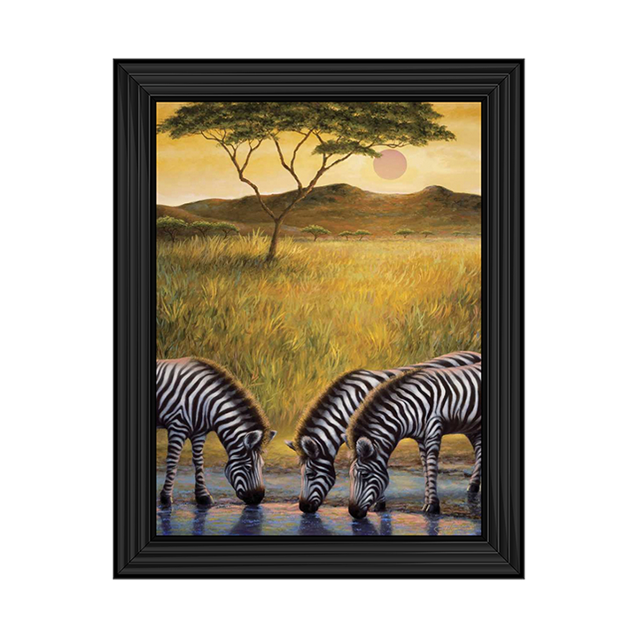 AN039 Zebra Respite