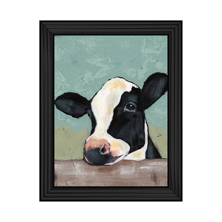 Holstein Cow II