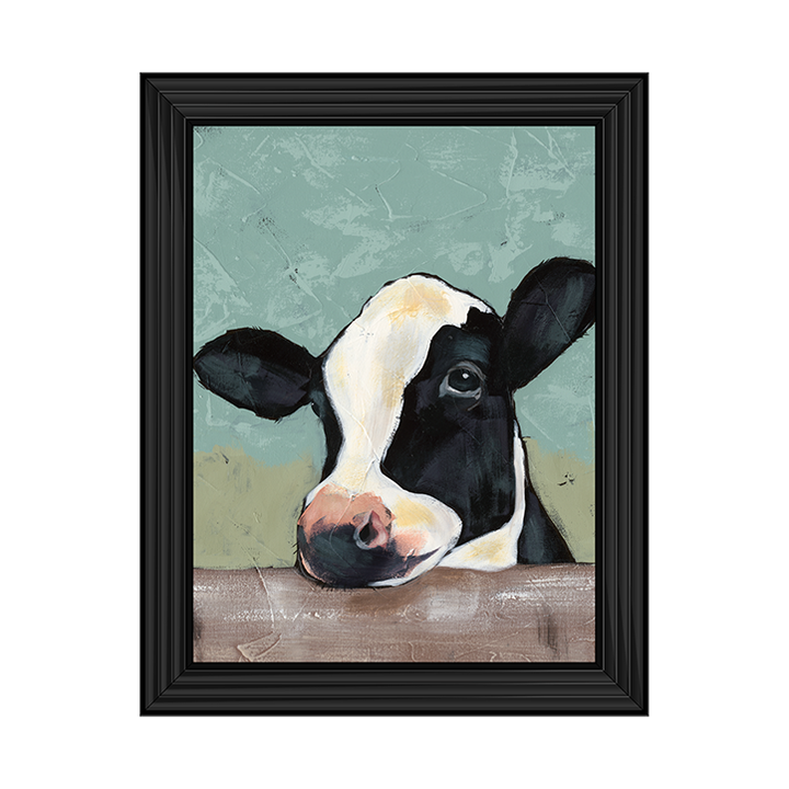 Holstein Cow II