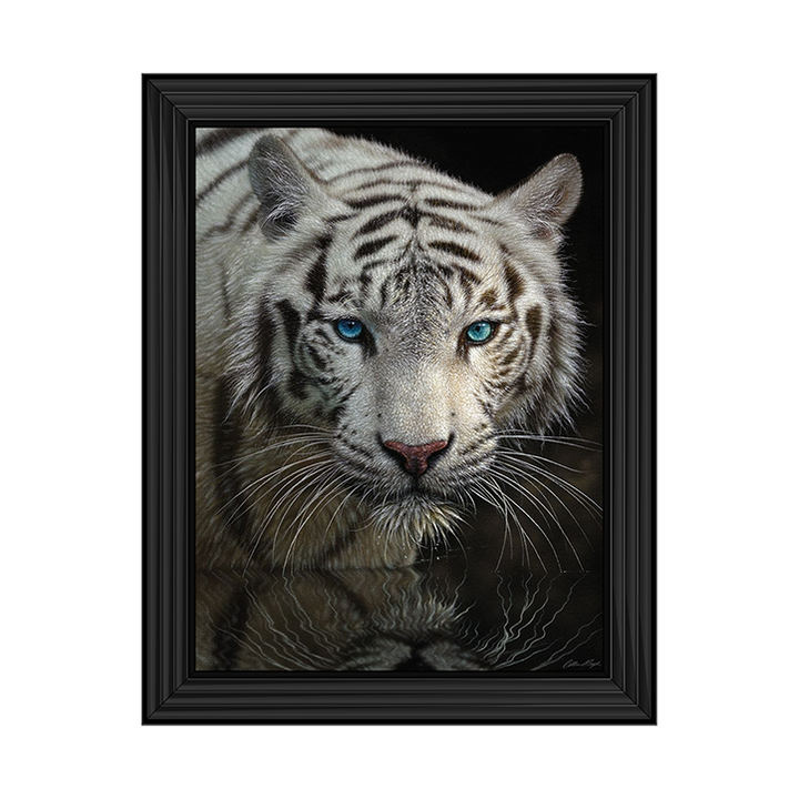 White Tiger - Into the Light