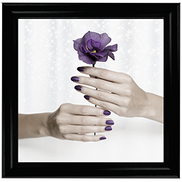 Purple Rose
