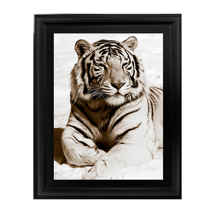 AN043 African Animals Series - Tiger A
