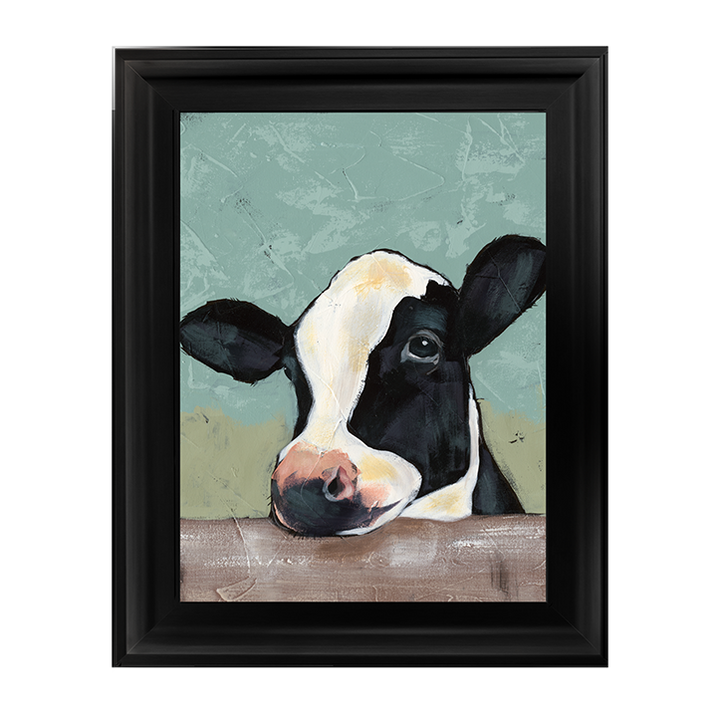Holstein Cow II