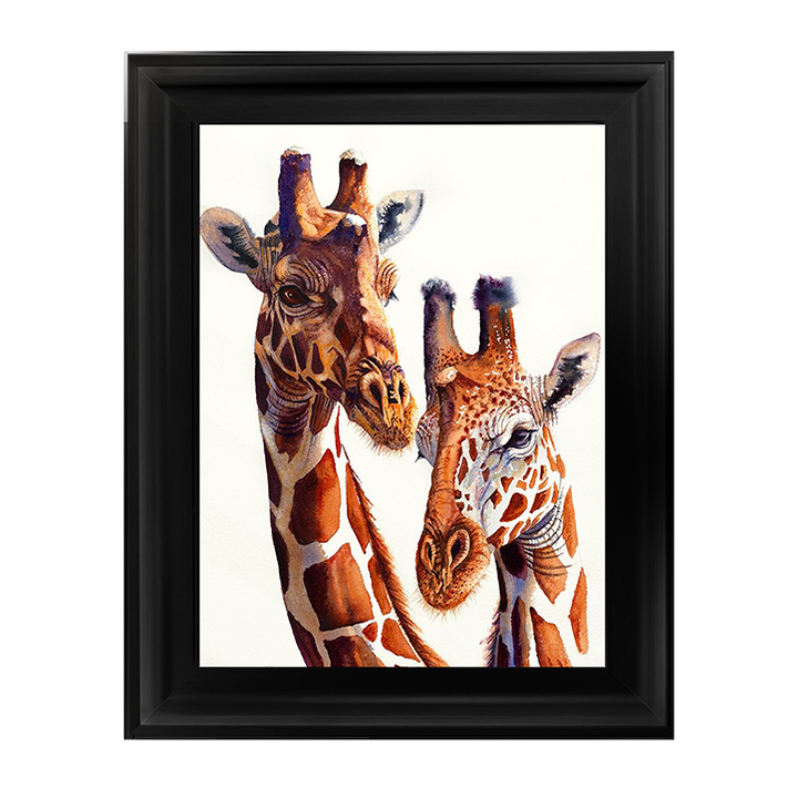 Safari Giraffes