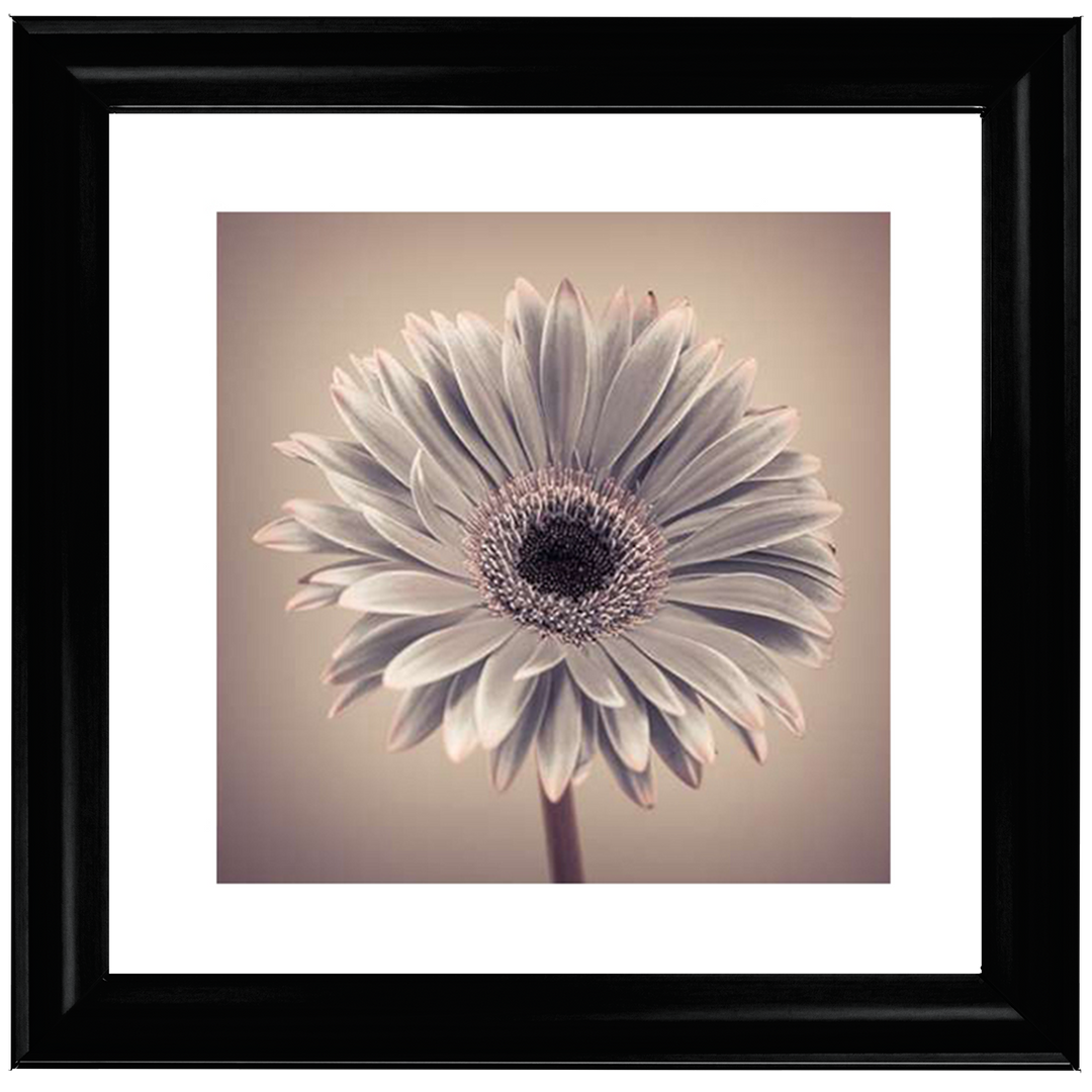 FL013 Pink Gerbera 1