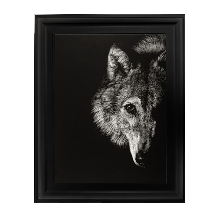 AN022 Black Glimpse III